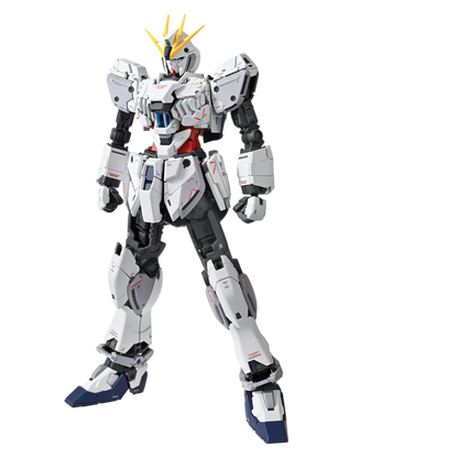 1/100 MG Narrative Gundam C-Packs